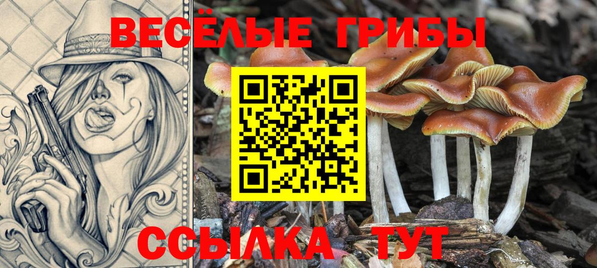Галлюциногенные грибы ЛСД Коркино